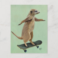 Meerkat Sur Skateboard 3