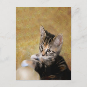 Carte Postale Meet Tiger