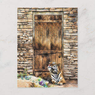 Carte Postale Méfiez-vous du tigre sauvage de la maison de chat 