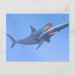 Carte Postale Megalodon mangeant une baleine