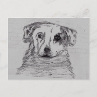 Carte Postale Meilleur ami