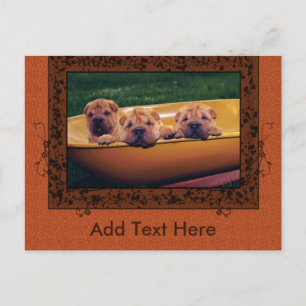 Carte Postale Meilleures salutations aux chiots
