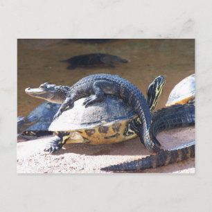 Carte Postale Meilleurs amis