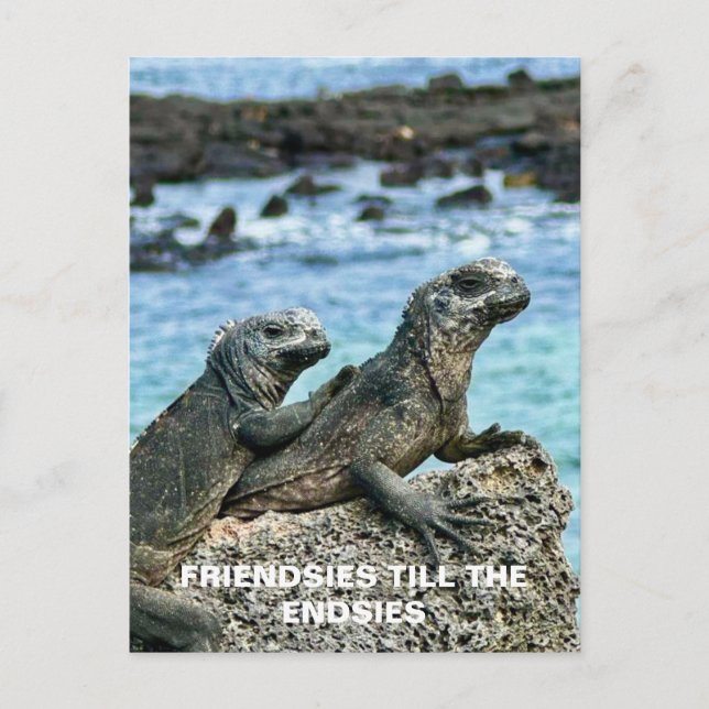 Carte postale Meilleurs Amis (Devant)