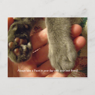 Carte Postale Meilleurs amis