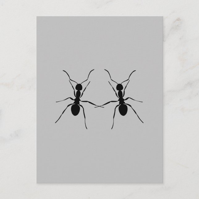 Carte Postale Meilleurs amis. Ant Couple (Devant)
