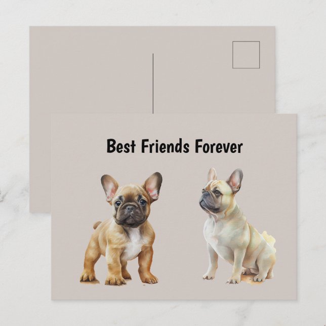 Carte Postale Meilleurs Amis Pour Les Chiens Français (Devant / Derrière)