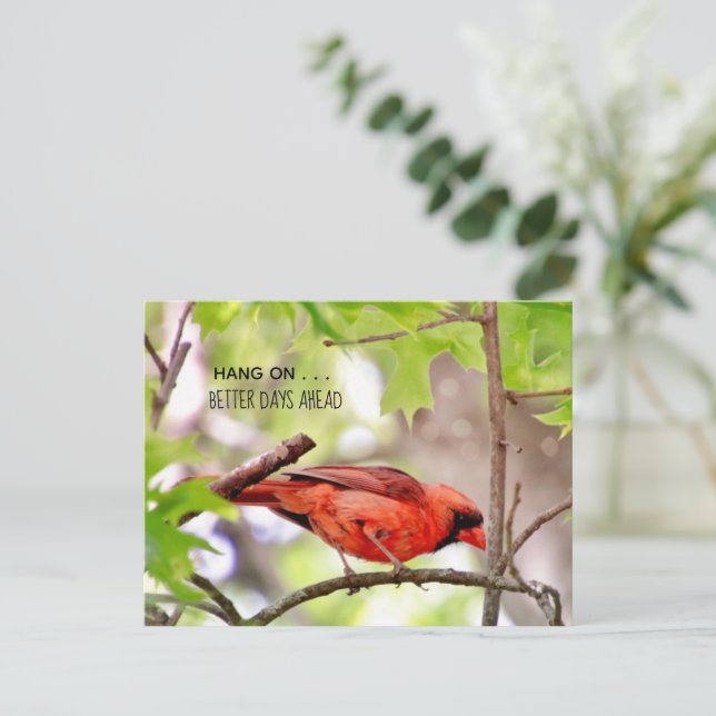 Carte postale Meilleurs Jours À Venir (Debout devant)