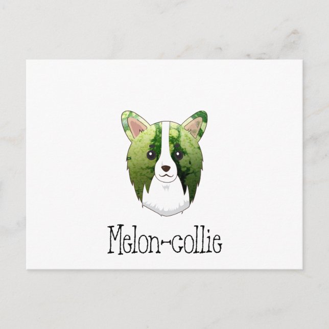 Carte Postale melon collie (Devant)