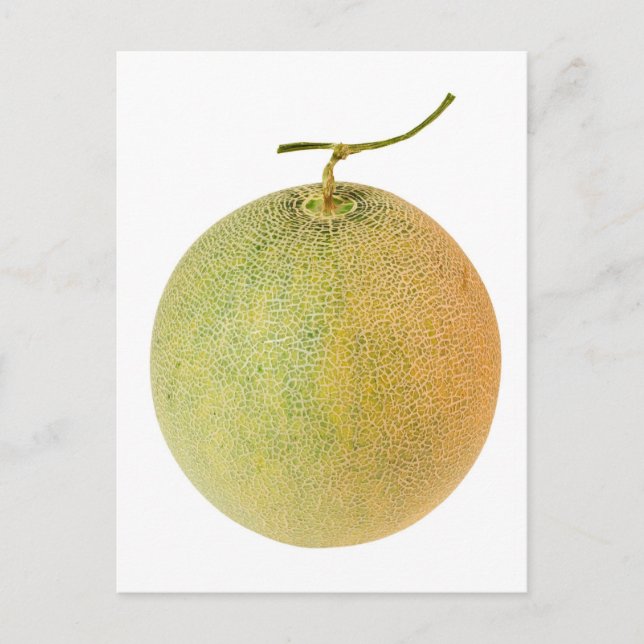 Carte Postale melon de musc entier (Devant)