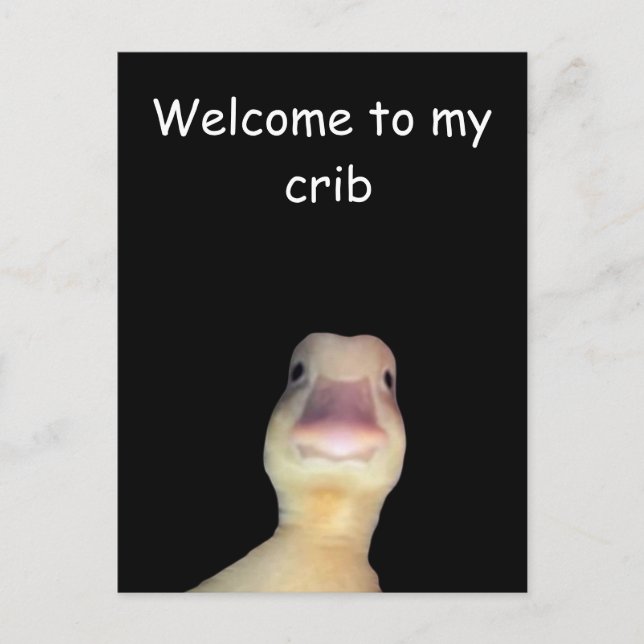 Carte Postale Mème de canard drôle : Bienvenue à My Crib Duck (Devant)