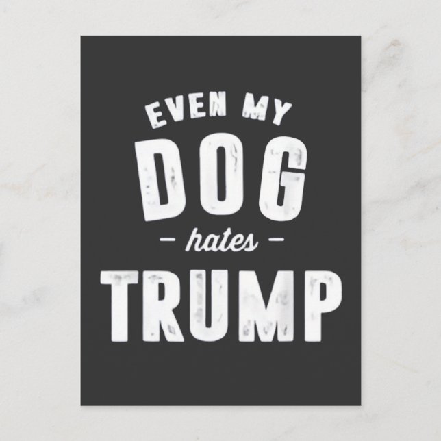 Carte Postale Même mon chien déteste Trump et l'Humour (Devant)