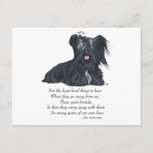 Carte Postale Mémoire Skye Terrier