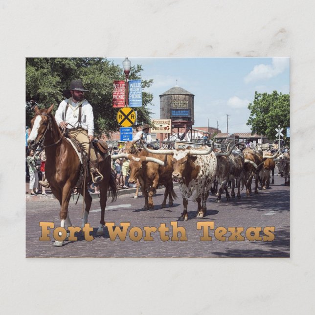 Carte postale mémorable Fort Worth Texas Cattle Dr (Devant)