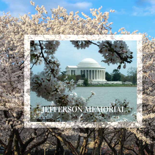 Carte Postale Mémorial Jefferson, Cerisiers en fleurs, Tidal Bas (Créateur téléchargé)