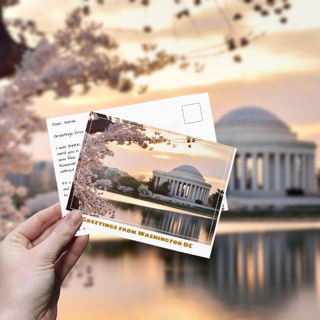 Carte Postale Mémorial Jefferson de Washington DC avec cerisier  (Créateur téléchargé)