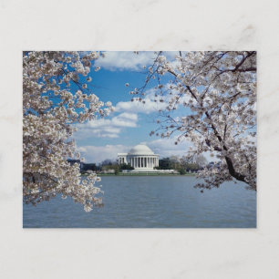 Carte Postale Mémorial Thomas Jefferson avec des fleurs de ceris