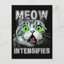 Meow Intensifie Funny Scottish Fold Cat
