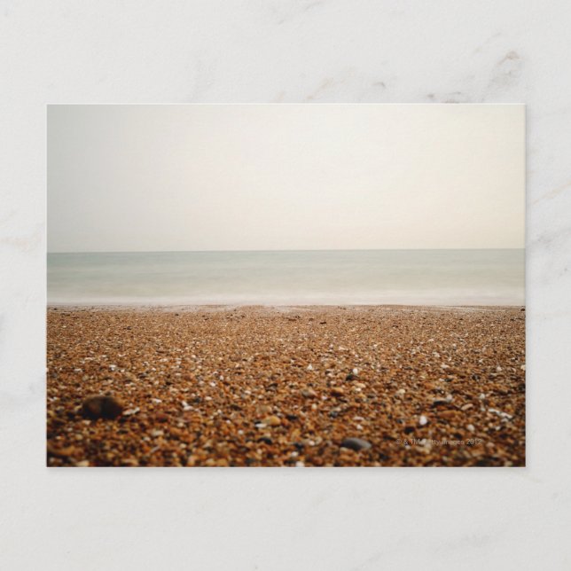 Carte Postale Mer à Brighton Beach 2 (Devant)