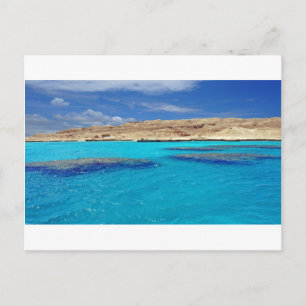 Carte Postale mer de corail