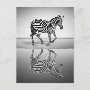 Carte Postale Mer de la liberté