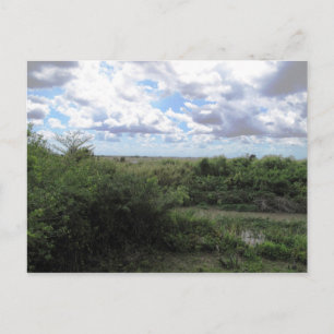 Carte Postale Mer D'Herbe
