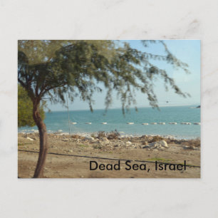 Carte Postale Mer Morte, Israël