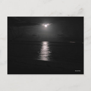 Carte Postale Mer nocturne