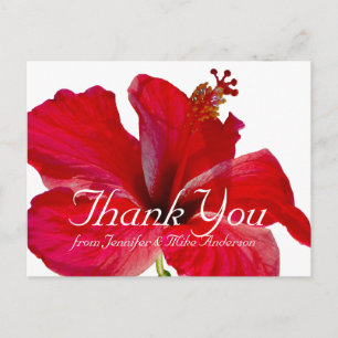 Carte Postale Merci à fleurs tropicales de l'Hibiscus rouge