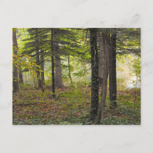 Carte Postale Merci à un soldat, DSCF7047