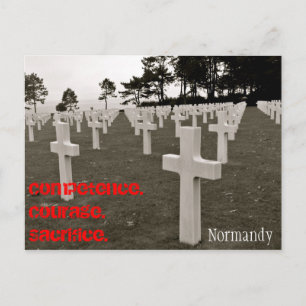 Carte Postale Merci à un vétérinaire