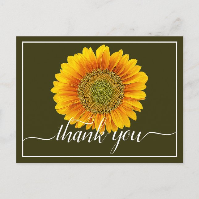 Carte Postale Merci Arrière - plan de la mousse de tournesol jau (Devant)
