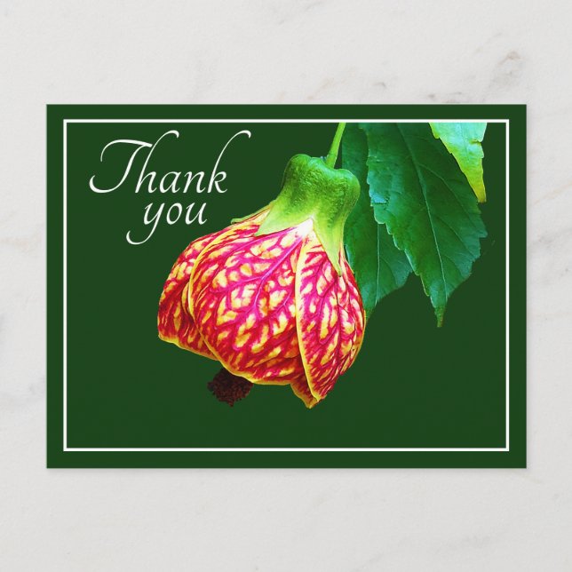 Carte Postale Merci Arrière - plan vert Flower Maple (Devant)