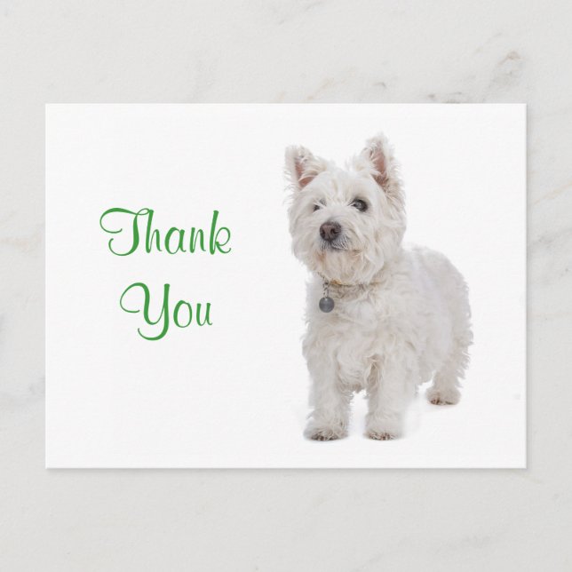 Carte Postale Merci blanc Westie Chien Chien Chien Salutation Ca (Devant)