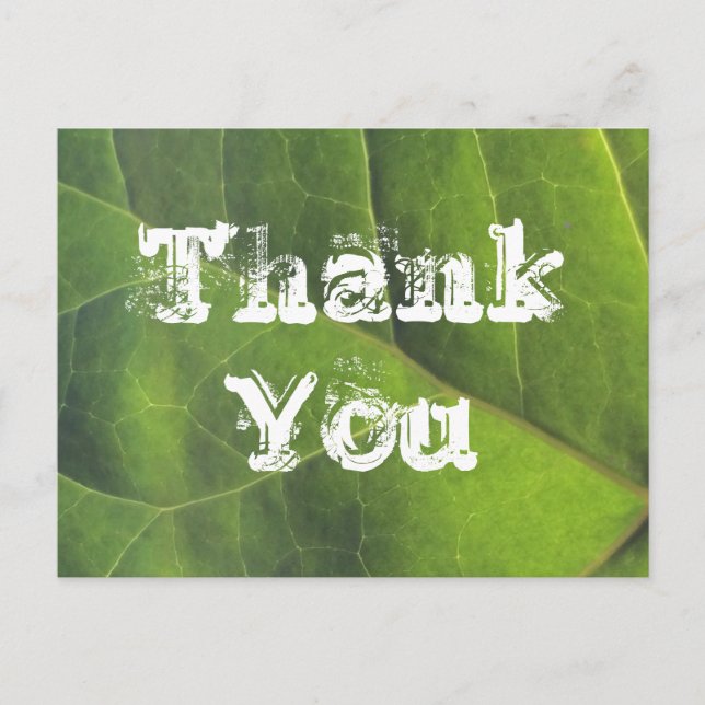 Carte Postale Merci Bright Green Leaf Nature Appréciation (Devant)