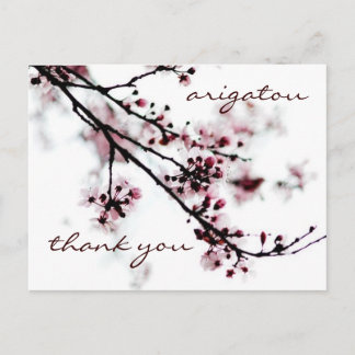 Carte Postale Merci cerise en fleurs