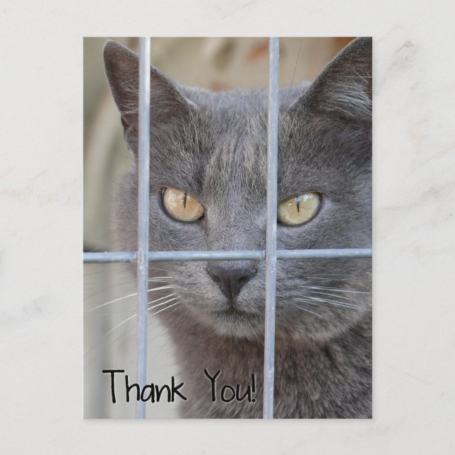 Carte Postale Merci ! Chat (Devant)