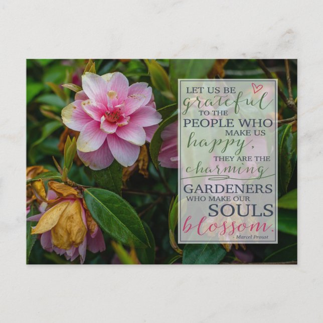 Carte Postale Merci | Citation du Rose irlandais Proust (Devant)