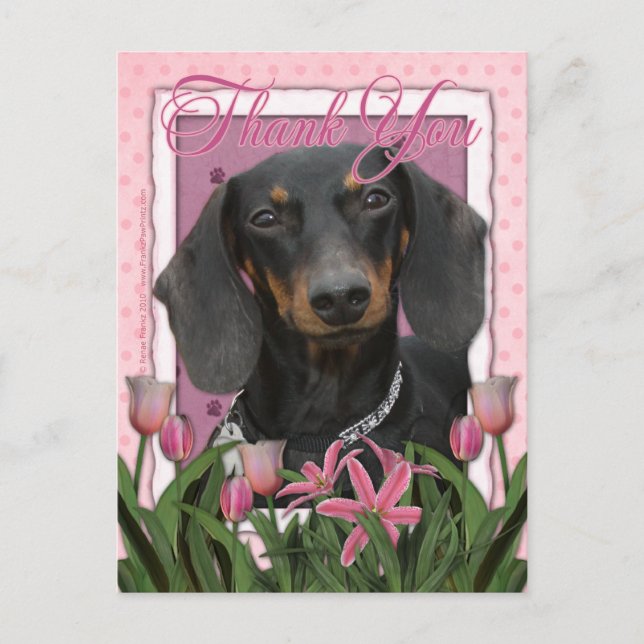 Carte Postale Merci - Dachshund - Winston (Devant)