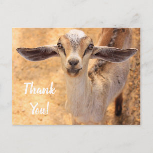 Carte postale Merci de chèvre