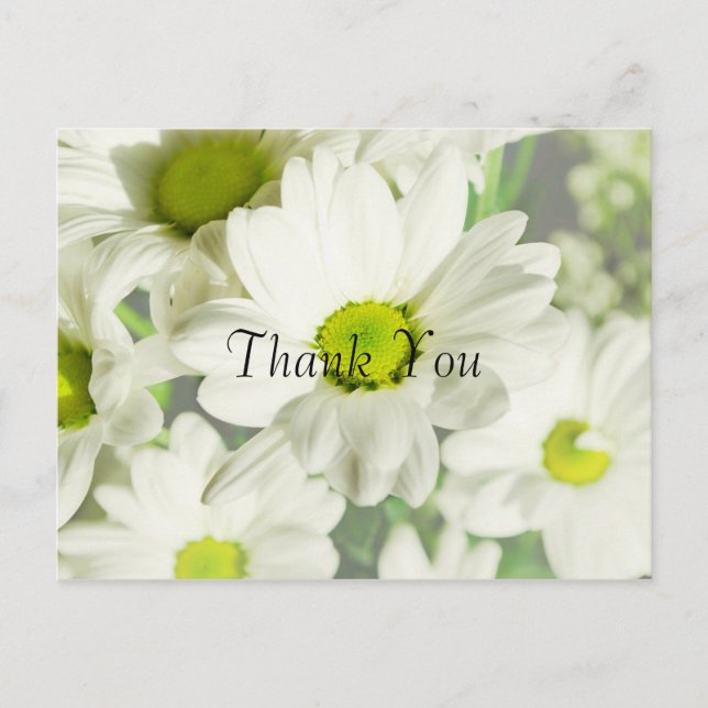 Carte Postale Merci de chrysanthème (Devant)