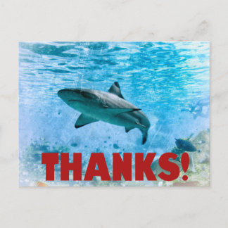 Carte postale Merci de requin vintage Nautique