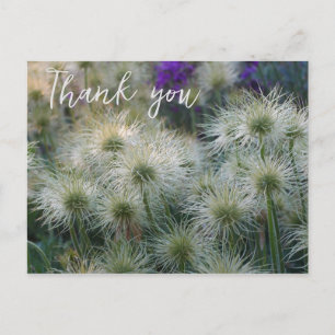 Carte postale Merci de têtes de graines de fleurs 