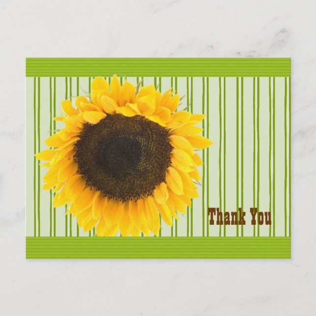 Carte Postale Merci de tournesol frontière et Arrière - plan (Devant)