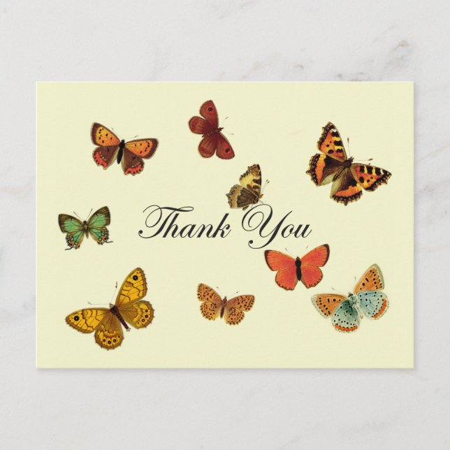 Carte Postale Merci des papillons (Devant)