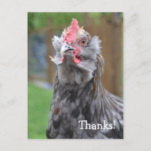 Carte Postale Merci d'un joyeux coq