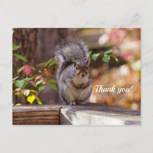 Carte postale Merci écureuil