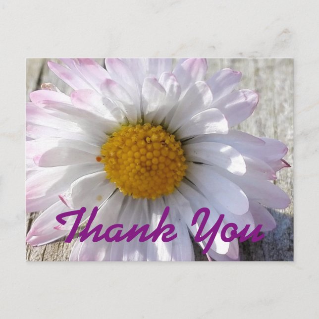 Carte Postale Merci Fleur Faisy (Devant)