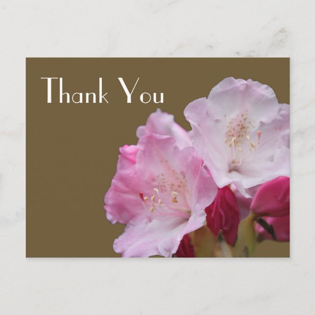 Carte Postale Merci, fleurs d'azalée rose, 杜 鹃 花 (Devant)