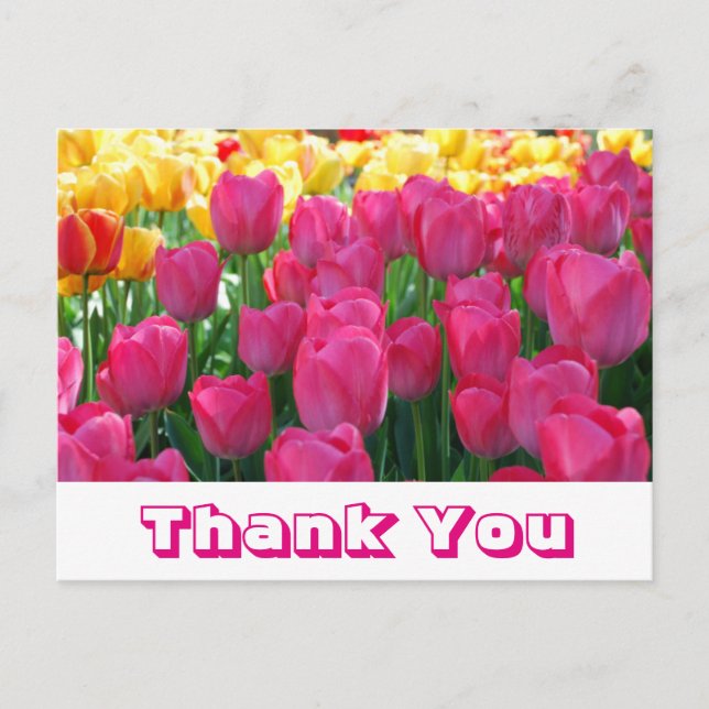 Carte Postale Merci floral Fleurs de tulipe jaune et rose (Devant)